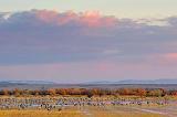 Wet Field At Sunset_73340